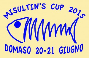 MISULTINLOGO