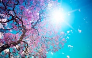 Primavera-1024x640